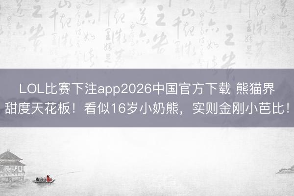 LOL比赛下注app2026中国官方下载 熊猫界甜度天花板！看似16岁小奶熊，实则金刚小芭比！