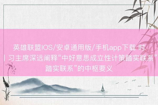 英雄联盟IOS/安卓通用版/手机app下载 时政微不雅察丨习主席深远阐释“中好意思成立性计策踏实联系”的中枢要义